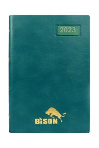 13. bison